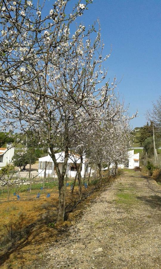 Holiday Home Monte Das Azinheiras Arraiolos Bagian luar foto